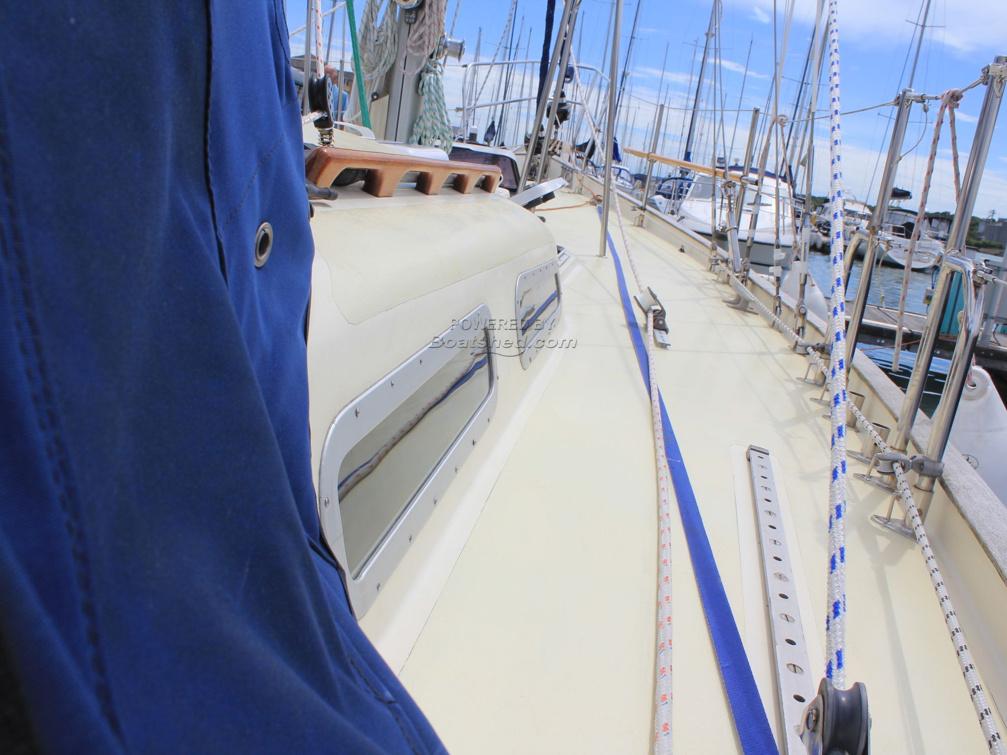 Tradewind 35